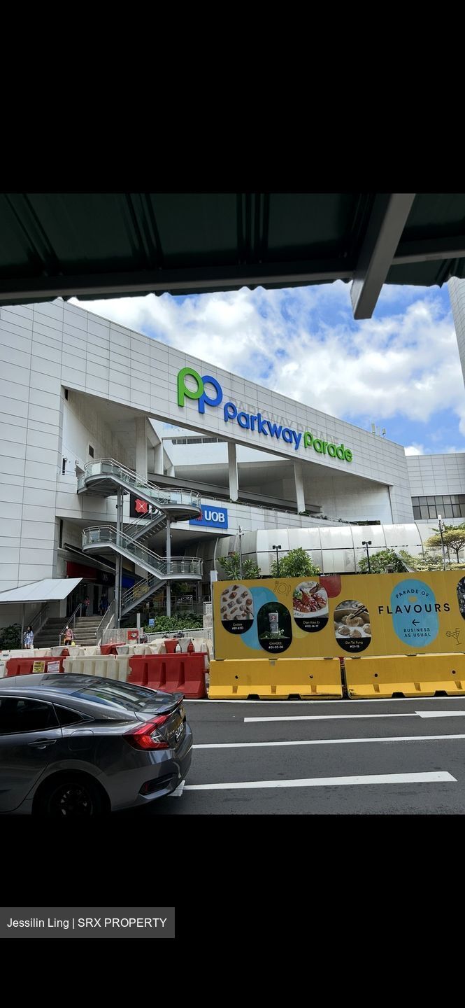 Parkway View (D15), Apartment #494938741